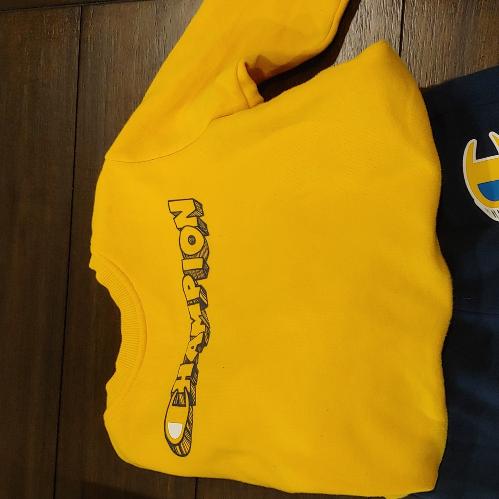 4t champion sweatshirt with sweat pant